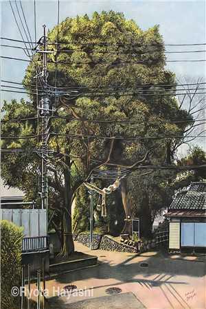 精品文我,离婚如丧偶,惊艳众人过新人生