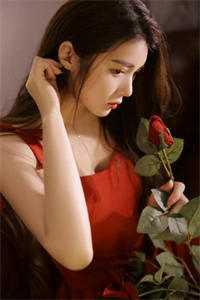 全章节阅读嫡女倾城,傲娇世子总想入赘侯门