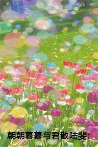 朝朝暮暮与君散陆斐:全文+后续