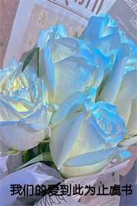 我们的爱到此为止虞书意傅知言:结局+番外