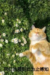 我们的爱到此为止傅知言虞书意:结局+番外