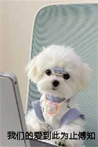 我们的爱到此为止傅知言:全本+结局