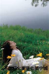 不在灯火阑珊处顾宁城:结局+番外