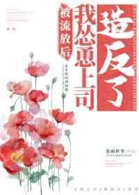 从天师府开始