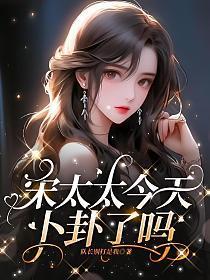 大龟甲师下一部是什么